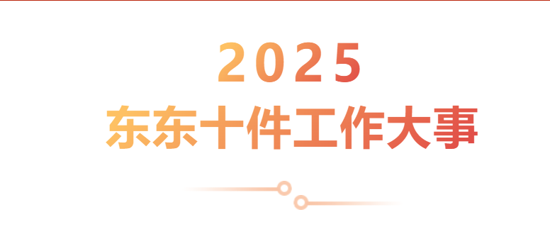 2025年东东十件工作大事